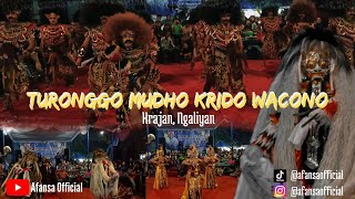 JARAN KEPANG TURONGGO MUDHO KRIDO WACONO || KRAJAN NGALIYAN LIVE PENDEM