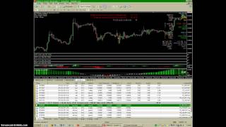 Forex obchody 25-02-2013