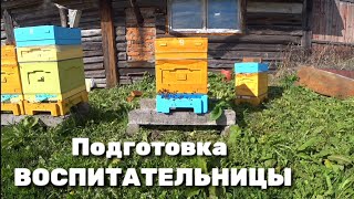 Сборка семьи воспитательницы