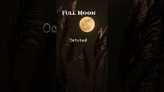 #tarot #fullmoon #astrology #love #meditation #shortsfeed #new #money #shortsvideo #fyp #fypシ #happy