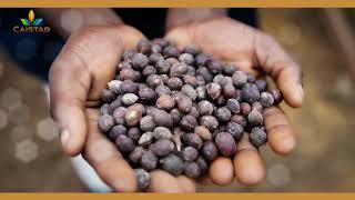 CAISTAB soutien les Panthères du Gabon en association sa marque de café ALANGA.