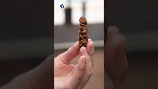 “كوبي لواك”.. أغلى قهوة في العالم تصنع من فضلات قط "الزبّاد" Kopi luwak