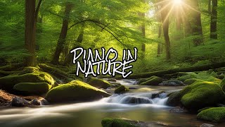 The Secret Beauty of American Forests 🌲 Peaceful Piano Music