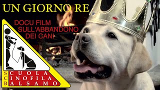 UN GIORNO RE 📽️ DOCU FILM SULL'ABBANDONO DEI CANI 🐕 CON ENRICO BERUSCHI E FABRIZIO BALSAMO