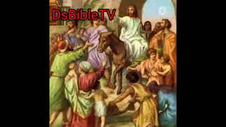 @DsbibleTv أحداث وقراءات أحد الشعانين