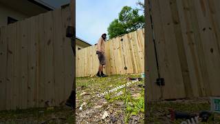 The neighbor was crazy pt. 2 #diy #fencebuild #story #construction #crazy #trending #live #fff #uf