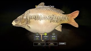 Russian fishing 4 Amber Lake trophy Linear Ghost Carp 33,321kg