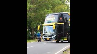 story wa bus Sudiro Tungga Jaya RUBYA ||Story wa 30detik||