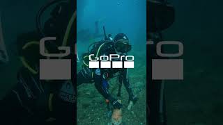 SCDiving | Scuba Diving Catalina Part 3