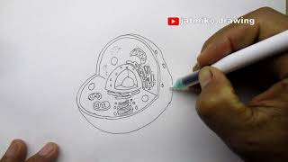 how to draw animal cell