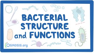 U of Pacific - Bacterial Structures and Functions