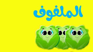 الملفوف  طيور بيبي  Toyor Baby Malfof