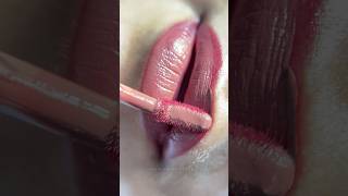 Day 4/100 | Lipstick Swatch Video | Mouve Lipstick | Nude Lipstick | Nude shade | Brown lipstick