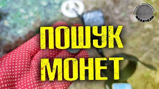 КОП в ЛІСІ, ЗНАХІДКИ, ЛЮДИ і СВИНІ. ПОШУК МОНЕТ з RUTUS ATREX