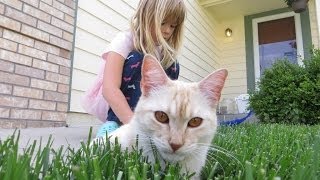 Playing with a cat in our neighbourhood