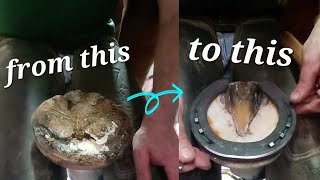 Farrier ASMR | Overgrown sole flaking out! | SO SATISFYING