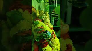 Ganesh Maharaj || #ganeshchaturthi #ganapatibappamorya #viralshorts #viralvideo