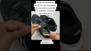 Amulette des millionnaires - Mettez des feuilles de laurier sur vos chaussures, vous serez surpris