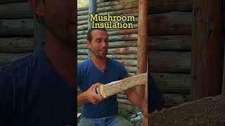 Mushroom Insulation with Beau Davidson | Permaculture Technology Jamboree #shorts