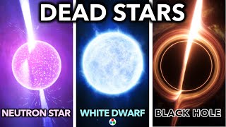 The Life and Death of Stars: How They Become Black Holes, Neutron Stars, or White Dwarfs