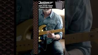 Quilter Labs – Aviator Cub Dirty Black Voicing Samples #SHORTS