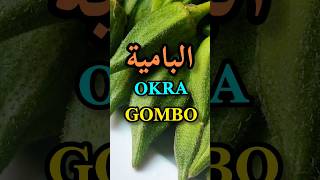 أهم الفوائد الصحية للبامية(الملوخية/القناوية)/Okra benefits/Les bienfaits du gombo#shorts #دايت