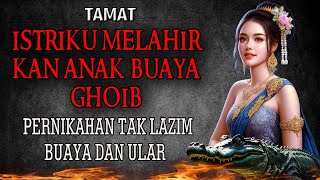 MIRIS ❗❗ PERNIKAHAN TAK LAZIM BUAYA DAN ULAR - TAMAT