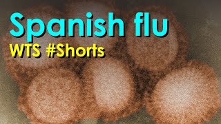 Spanish flu | WTS #Shorts