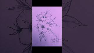 Hibiscus flowers drawing 🌺 #shorts #viral #trending #cretiveart #satisfying