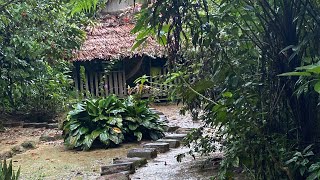 Walking to Amazon Jungle hut in Leticia Colombia. Trip around the world