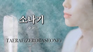 【소나기(夕立)】 日本語字幕 Cover TAERAE(ZEROBASEONE) (原曲:ECLIPSE)