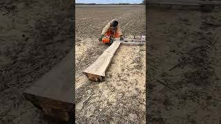 Turning a dead ash tree into lumber | #conefurnishings #chainsawmill #chainsaw #stihl #granberg