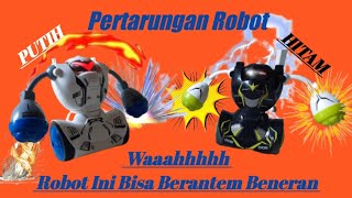 Robot Tinju RC || Robot ini Bisa Berantem Beneran