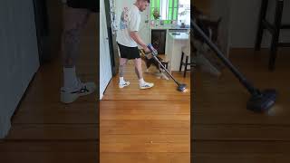 How To Stop A Dog Attacking The Hoover And Lawn Mower