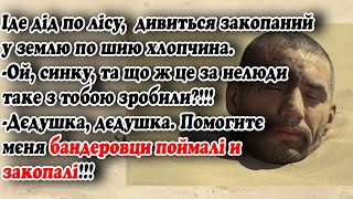 Веселі українські анекдоти. АНЕКДОТИ УКРАЇНСЬКОЮ. Гумор по-українськи