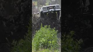 This Run is INSANE! #GripNripClips #mudbog #trucks #mudding #mudtrucks