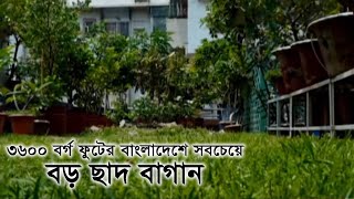 বাংলাদেশের সবচেয়ে বড় ছাদ বাগান ।  Biggest chad bagan of bangladesh - how to rooftop gardening