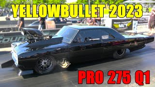 PRO 275 Q1 YellowBullet 2023 9 01 CCD