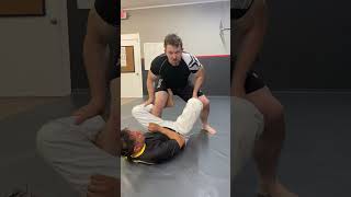 DLR Knee Cut Pass #bjj #brazilianjiujitsu #jiujitsu #mma #wrestling #sambo #grappling #dlr #delariva