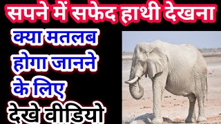 Sapne Mein Safed Hati Dekhna, सपने में सफेद हाथी देखना,seeing white elephant in dream