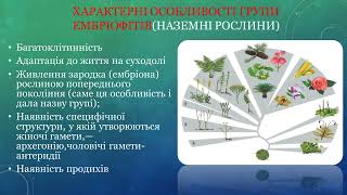 Царство зелені рослини. Наземні рослини