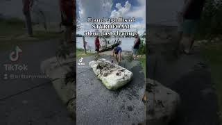 250lb Styrofoam Block Pulled From The Water #baltimore #maryland #beachcleanup