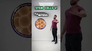 Stem Cells - Biology Class