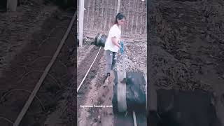 Ingenious hardworking farmer