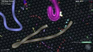 Slither.io : Big Anaconda Death