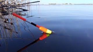 КОНКРЕТНІ ЛАПТІ КЛЮЮТЬ В ЗАРОСЛЯХ ОЧЕРЕТУ. Рибалка на поплавок