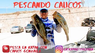 PESCA EN KAYAK- Unas cuantas horas de pesca, buenos calicos!