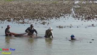 Amazing Fisherman Using Net For Catching Fish | Fishing Life