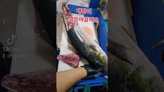 아낌없이주는 대방어