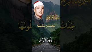 جنات عدن يدخلونها ومن صلح من أباءهم وأزواجهم وذرياتهم والملائكة | سورة الرعد | عبدالباسط عبدالصمد